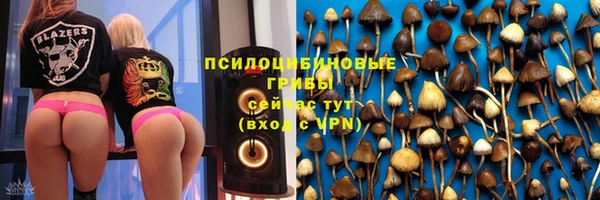 PSILOCYBIN Абаза